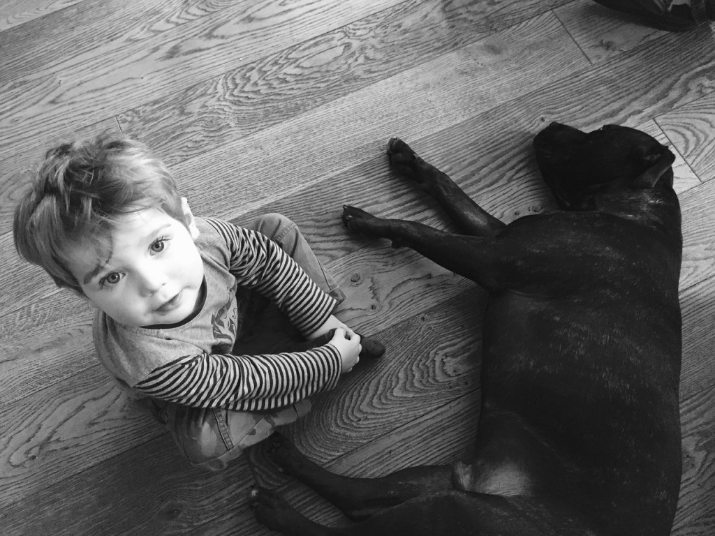 animali-e-bambini-disabili.jpg